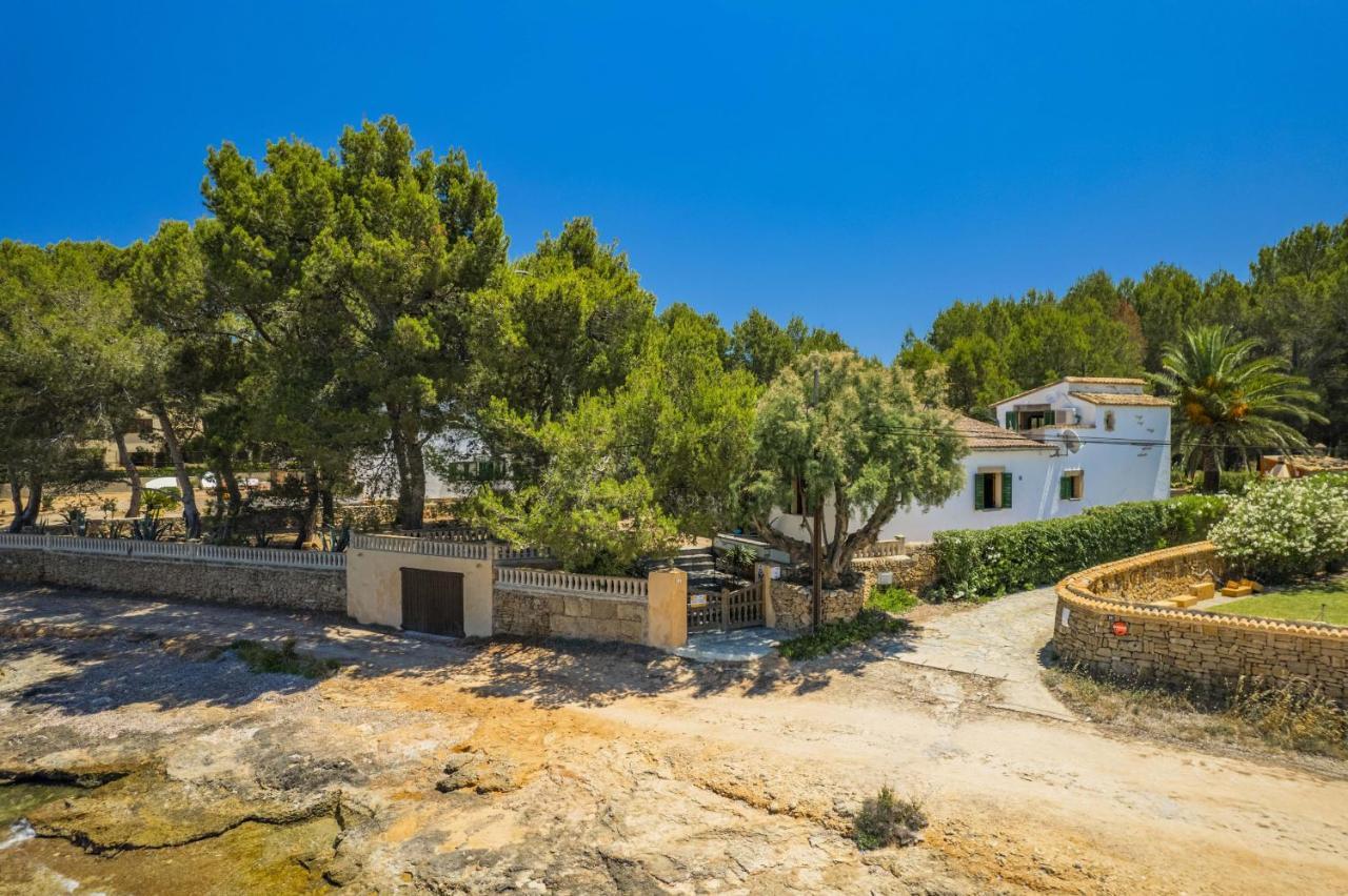 Morer Vermell * Alcudia (Mallorca)